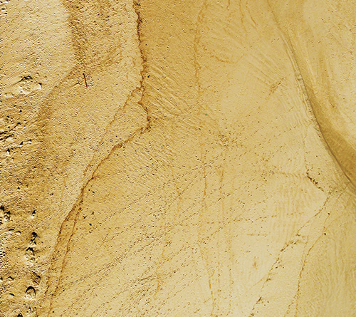 H. POLVERE ZAFFERANO