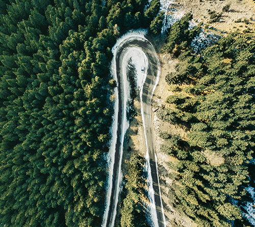 M. TORNANATE VERDEGGIANTE